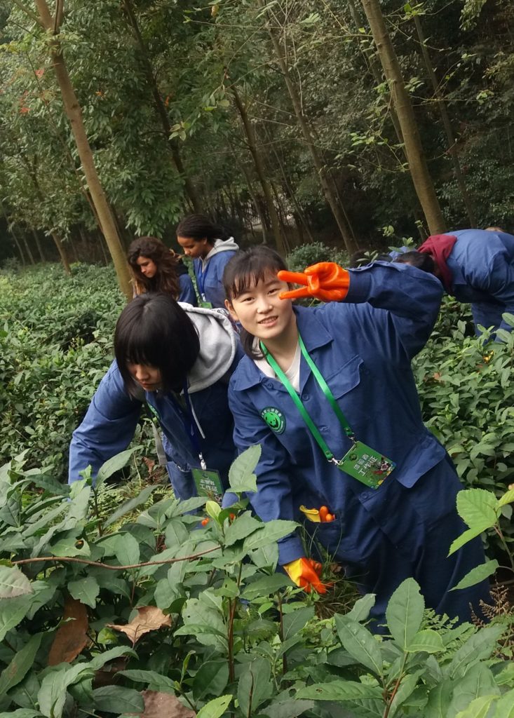 Sichuan Panda CAS Trip to China