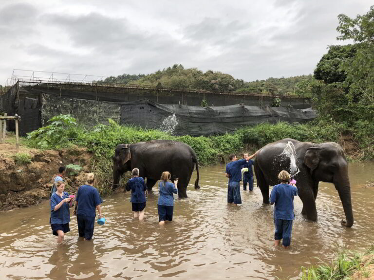 volunteering trips