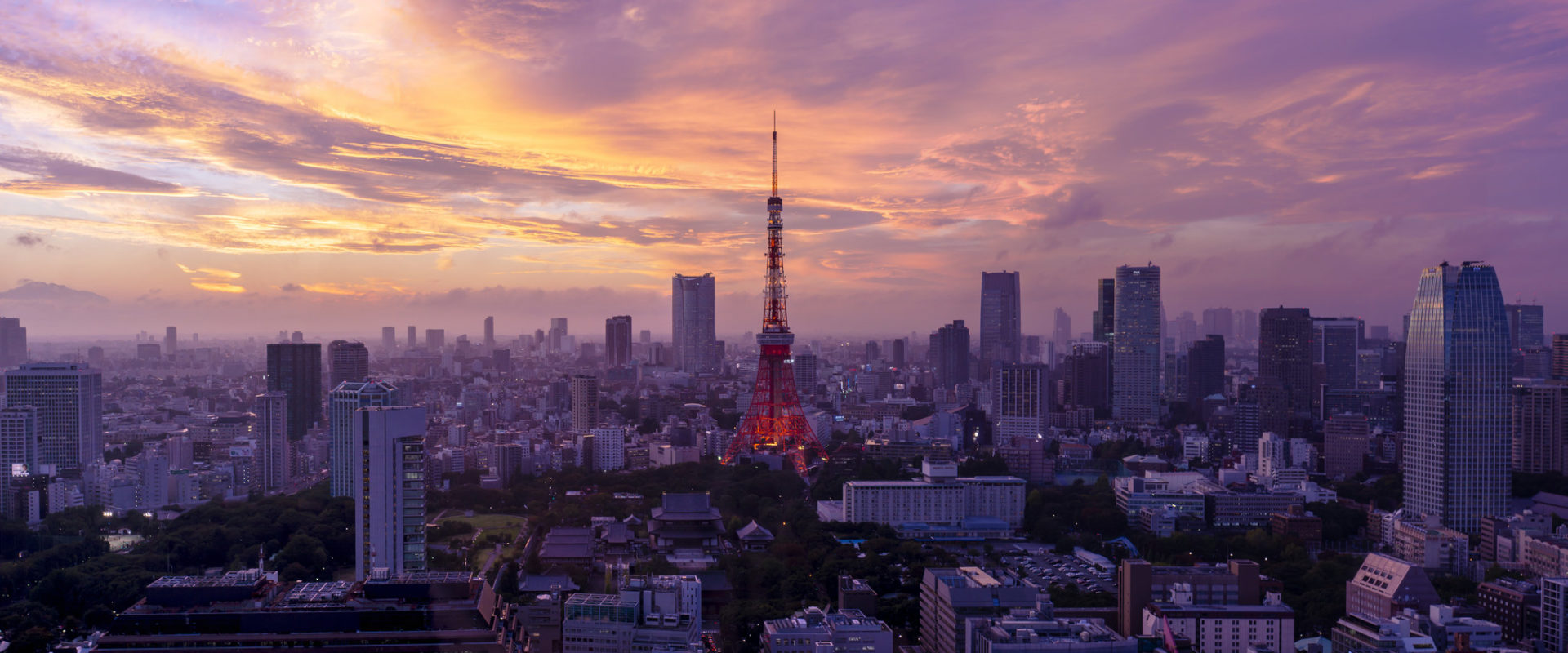 Tokyo Tower - Economics in Japan tour