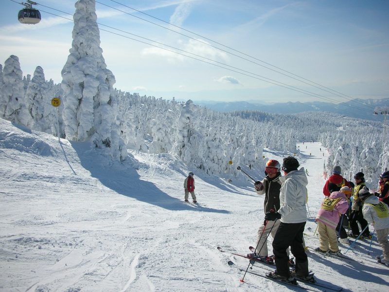 skiing in japan in the winter